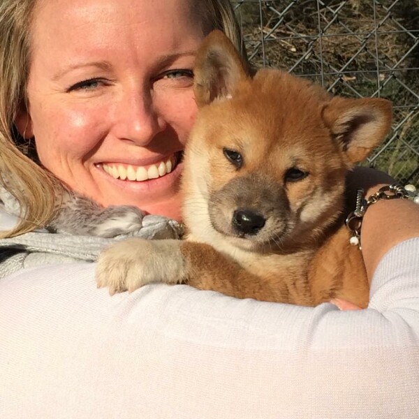 Bargo Dingo Sanctuary