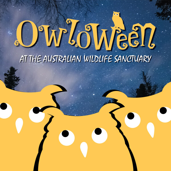 Owloween at the Australian Wildlife Sanctuary - SAVE THE DATE
