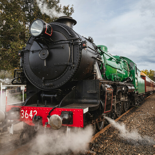 Thirlmere Festival of Steam 2024