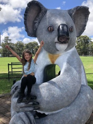 Appin Koalas