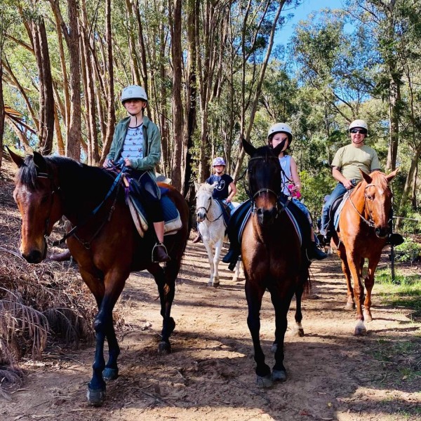 Horse riders making their way through a track at Endeavour Park Equestrian Centre