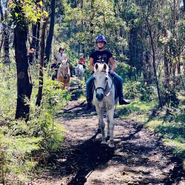 Horse riders having a riding lesson in Wollondilly