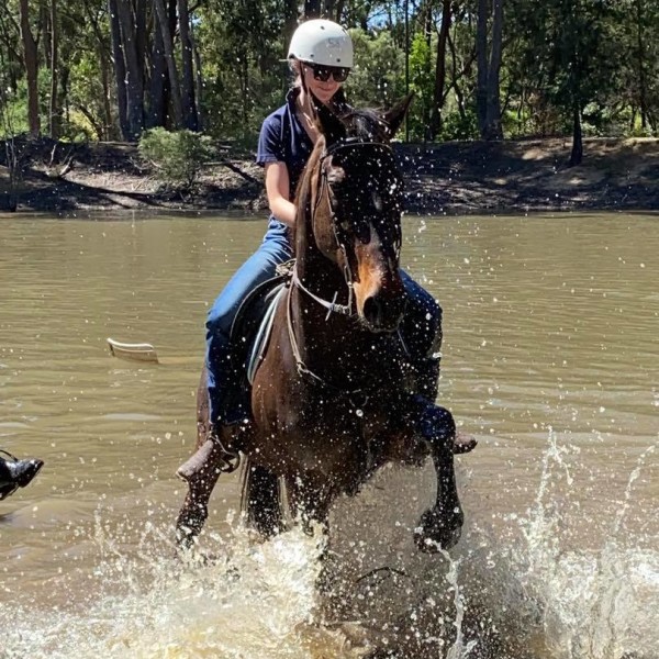 Horse and rider in a lake splashing water in the School Holidays Horse Riding Program