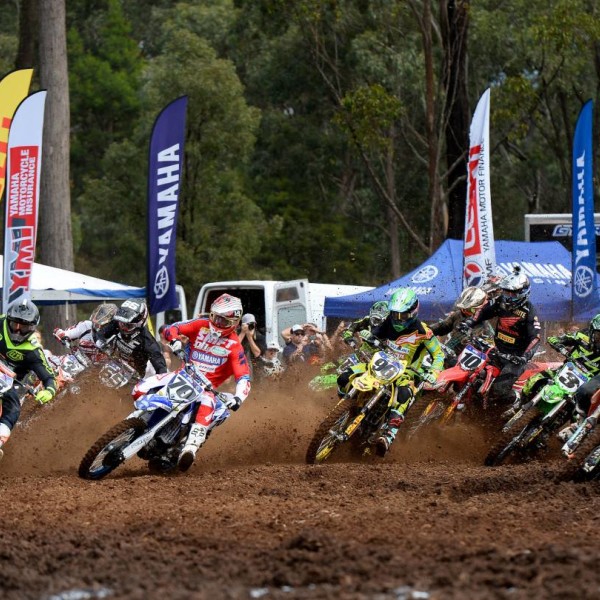 Motorbike riders at the starting line of a race