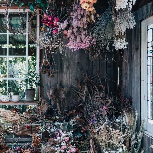 Inside Wild Flora's Ivy Greenhouse Studio