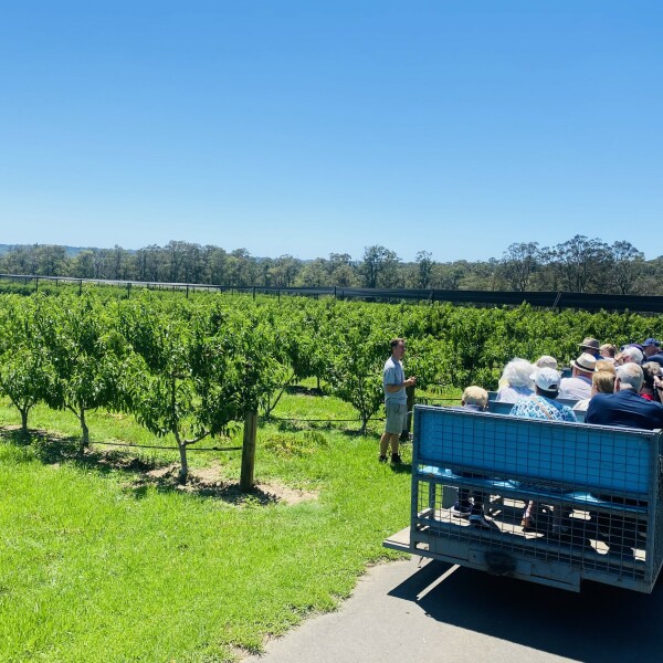 Cedar Creek Orchard