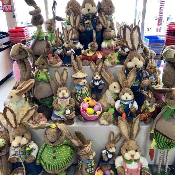 Display of Easter bunnies of all different shapes and sizes at House Warehouse
