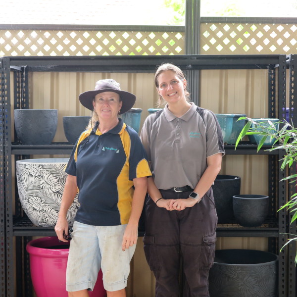 Wholesale plants and flowers in Wollondilly