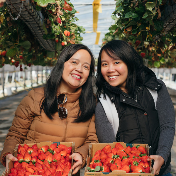 Happy ladies holding up their strawberry picking boxes