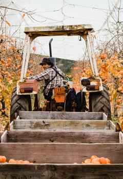 Cedar Creek Orchard