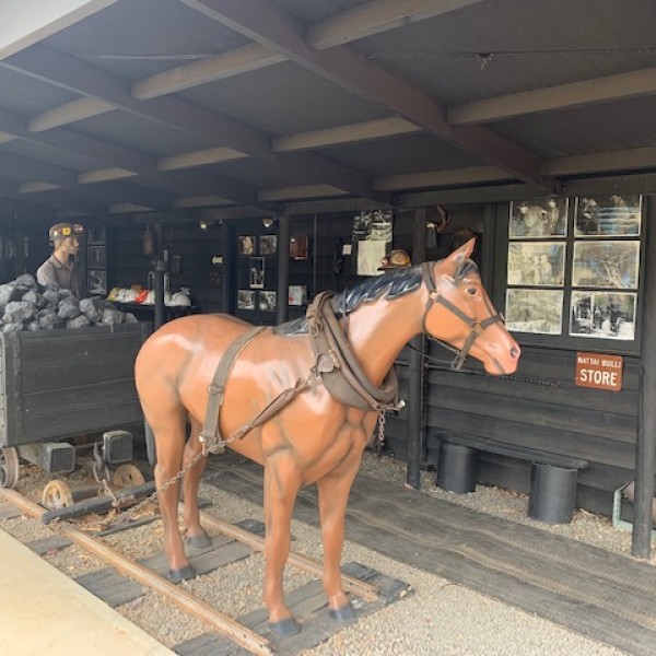 Display at Wollondilly Heritage Centre & Museum