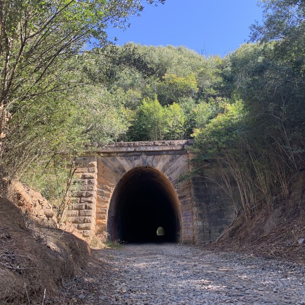 Mushroom Tunnel Entrance