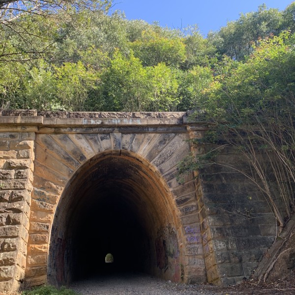 Mushroom Tunnel Entrance