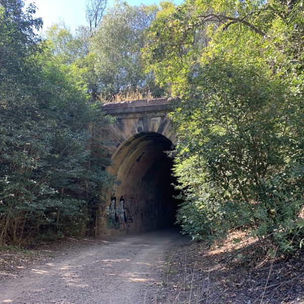 Mushroom Tunnel Entrance