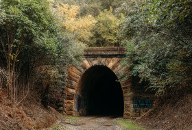 The Mushroom Tunnel
