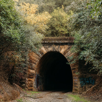 The Mushroom Tunnel