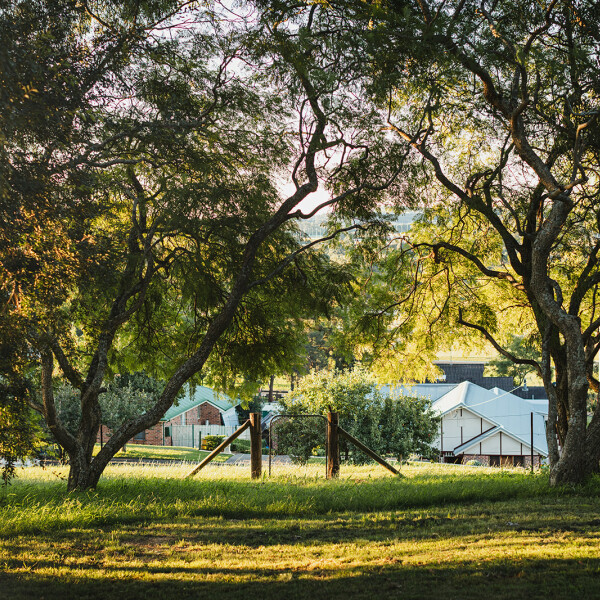 Greenery surrounding St. James Anglican Church