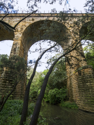 Picton Railway Viaduct