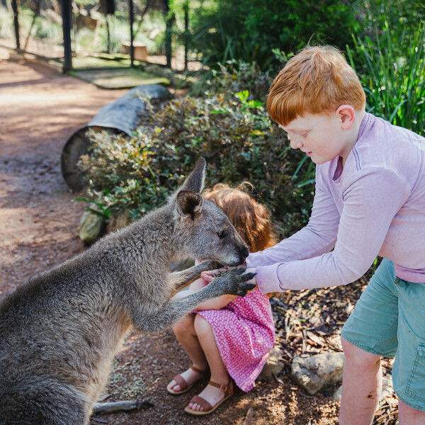 Kids feeding animals at the Wildlife Sanctuary
