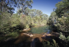 Bargo River State Conservation Area