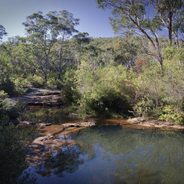 Little River Trail - Photographer Nick Cubbin/DPIE