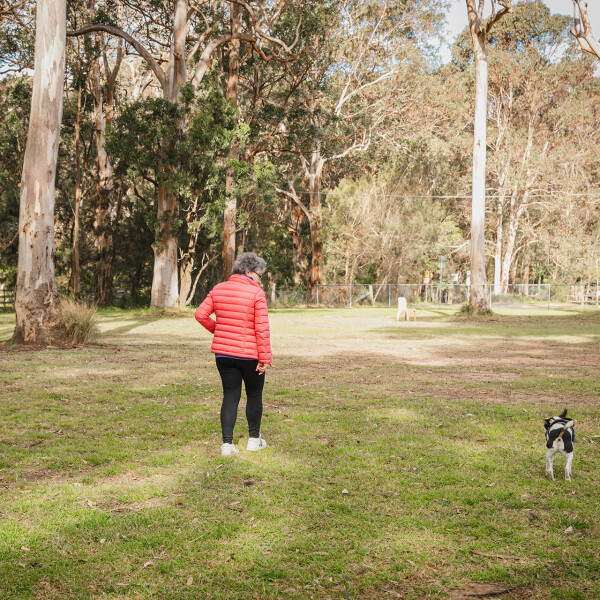 Dog enjoying Appin Reserve Park