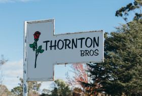 Thornton Bros. Roses
