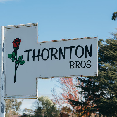 Thornton Bros. Roses