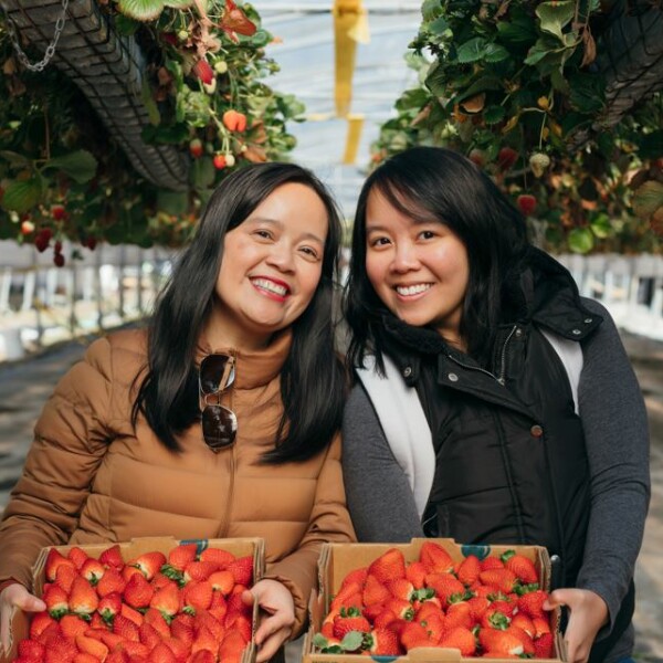 Berrylicious Pick Your Own Day - Weekend