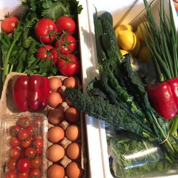 Dilliro Vegetables Fresh Product Box