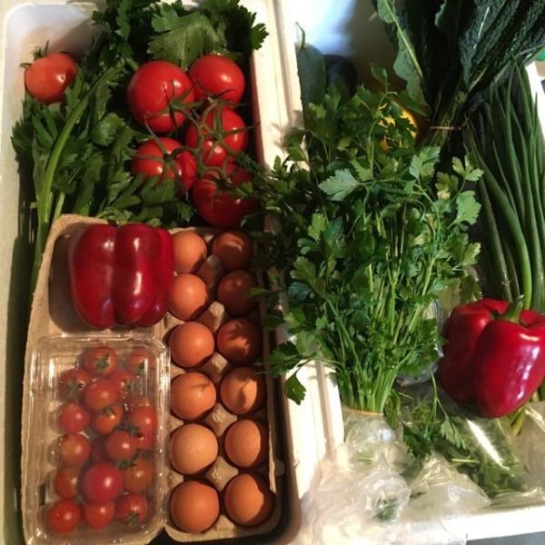 Dilliro Vegetables Produce Box