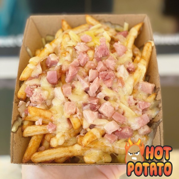 Loaded fries from Hot Potato Food Truck