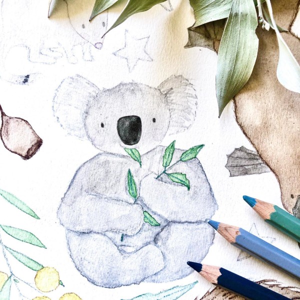 Illustration of a Koala eating Eucalyptus