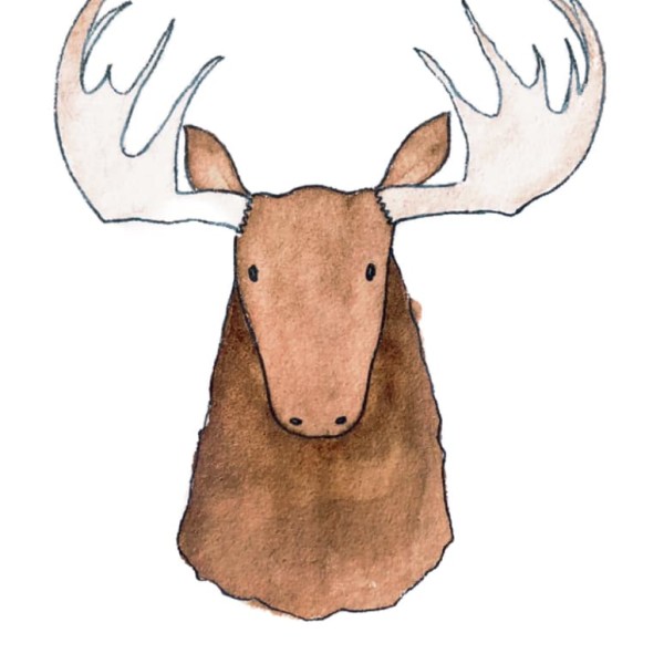 Watercolour illustration of a moose