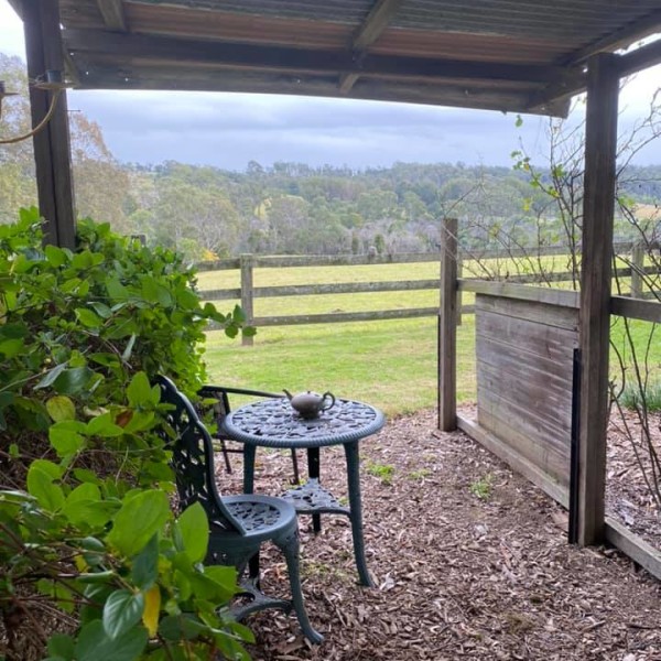 Garden outside Cumnock Cottage