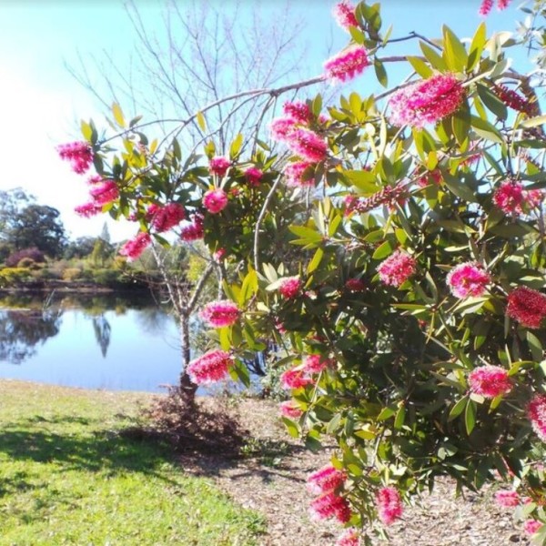 Romantic Flower Farm Getaway - Outdoors