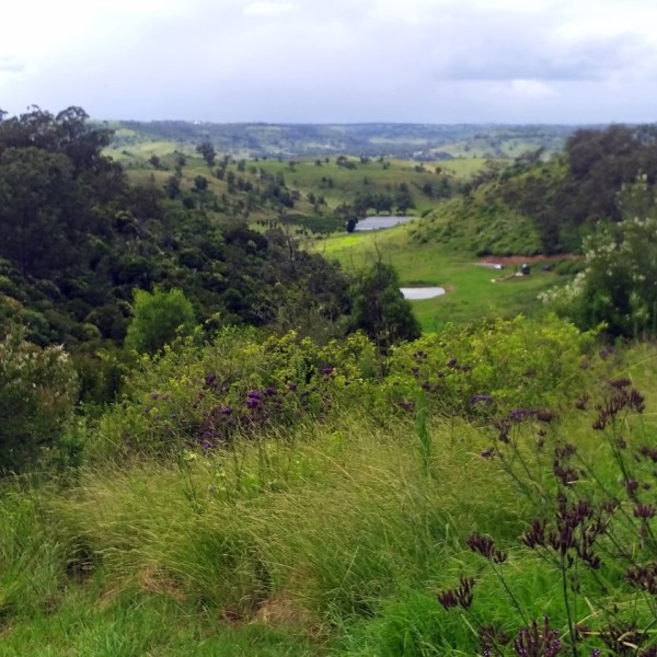 Views over Wollondilly from the Georgie Cabin