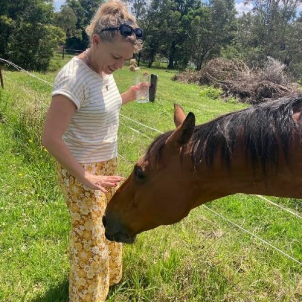 Friendly horses at Silky Oaks