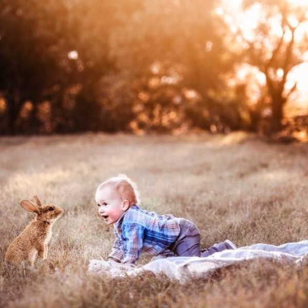 Little boy in a field with a bunny