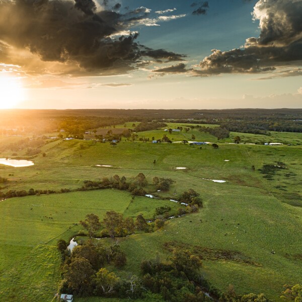 The Oaks Drone Photo