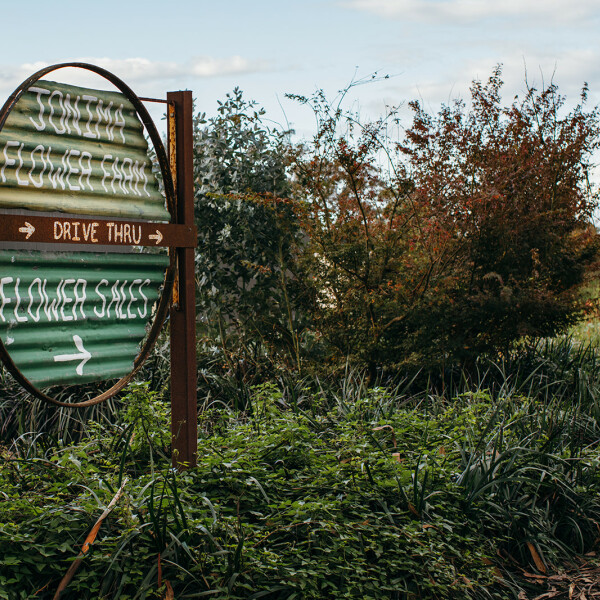 Flower shed sign at Jonima