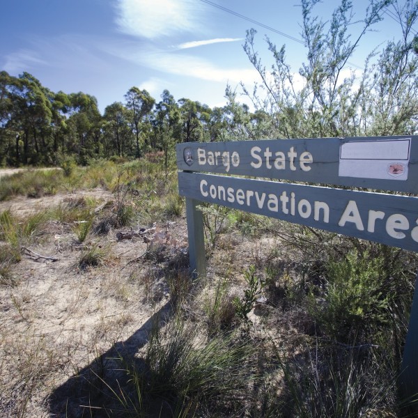 Bargo State Conservation Area Powerline Trail - Photographer Nick Cubbin/DPIE
