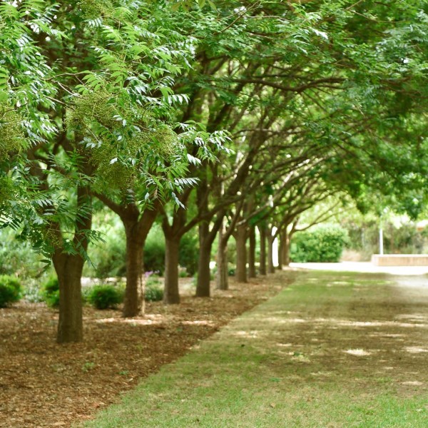 Picton Botanic Gardens 