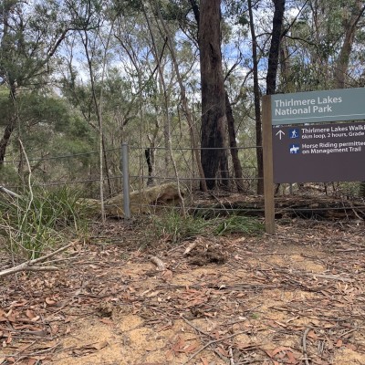 Couridjah Corridor Walk