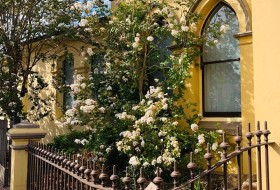 Historic Picton Walking Tour