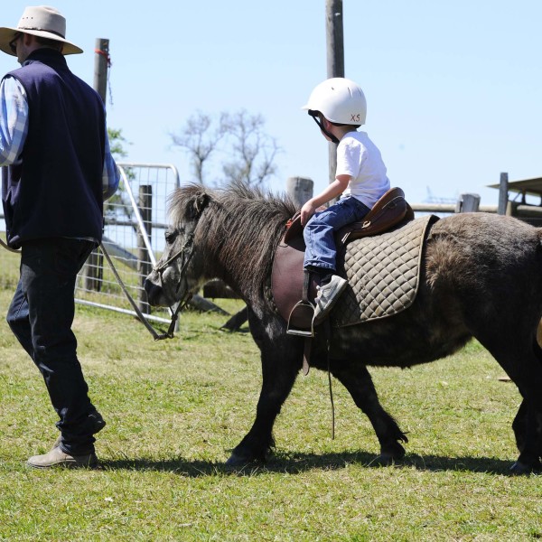 Pony Rides at Mowbray Park Farm