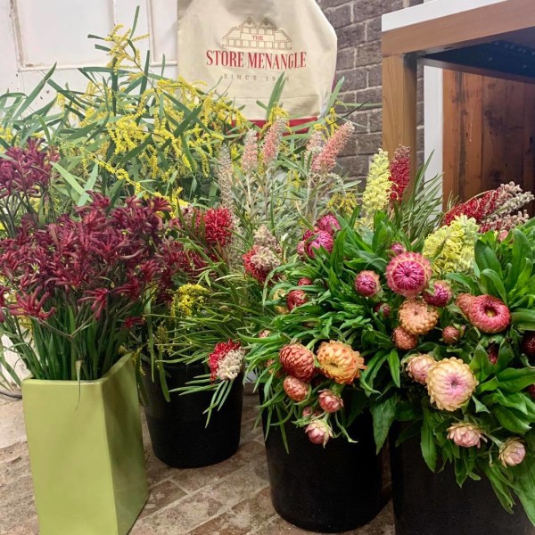 Fresh Flowers at The Store Menangle 