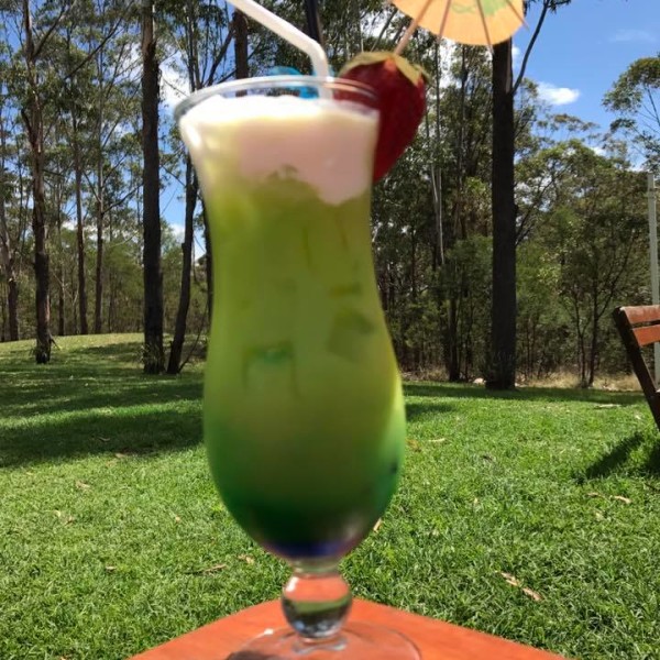 Cocktails at Warragamba Workers