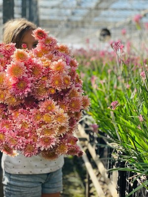 Jonima Flowers