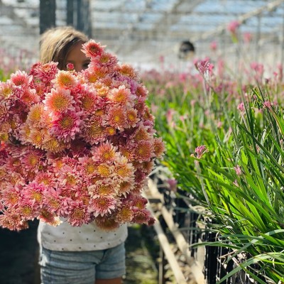 Jonima Flowers